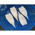 Good Quality Frozen Calamari Squid Tube U10 70%nw